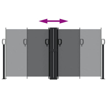 Vidaxl Toldo Lateral Retráctil Negro 120x1000 Cm_4