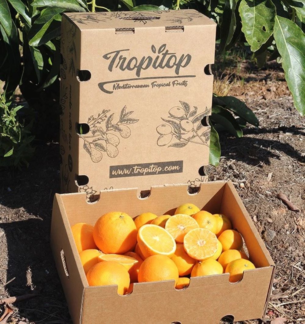 Mix Naranjas Y Mandarinas Valencianas Tropitop 4kg_3