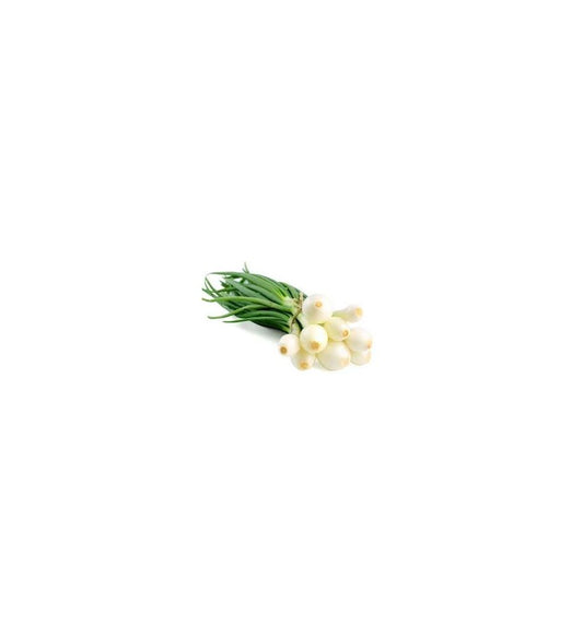 Plantón Cebolla Babosa (50 Unidades)_0