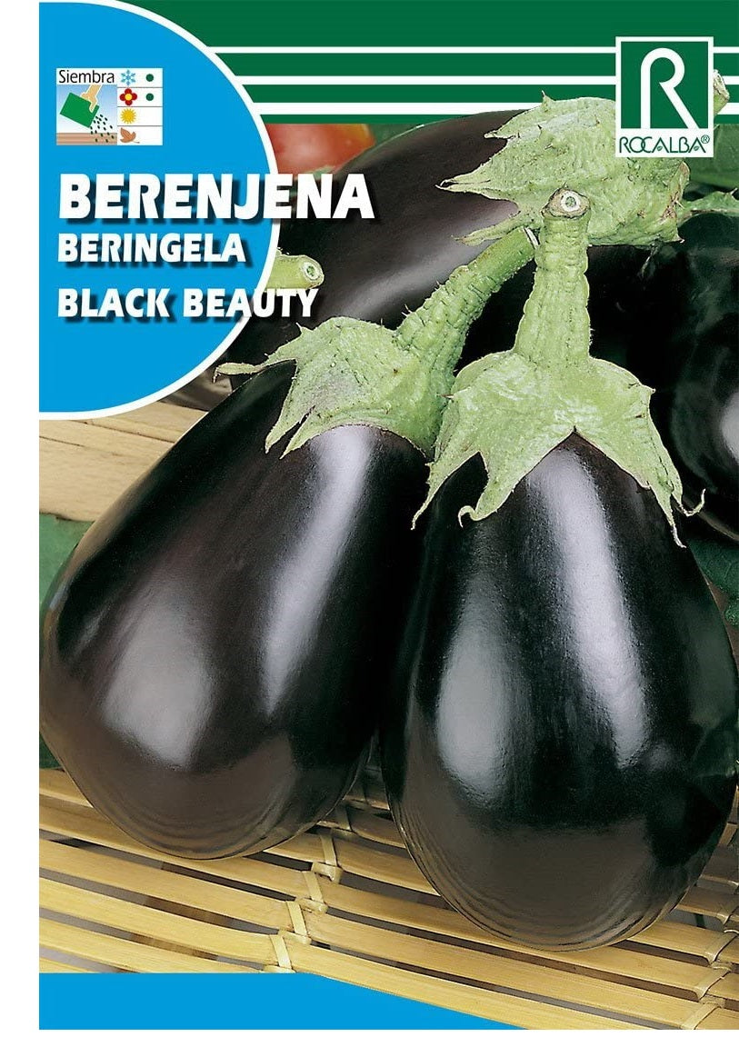 Semillas Berenjena Black Beauty 3g_0