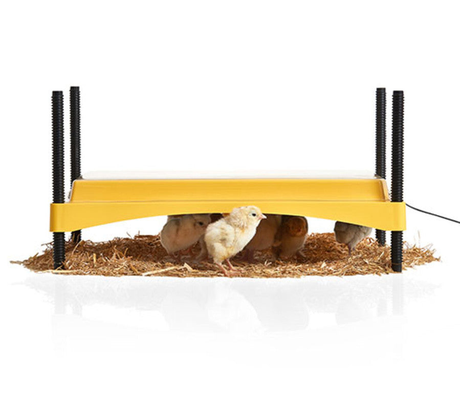 Criadora De Pollitos Brinsea Ecoglow De Bajo Consumo - 18 W - 35 Pollitos_0