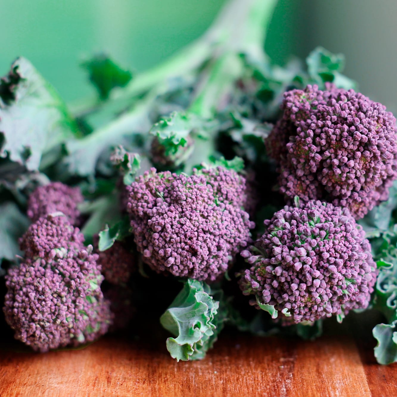 Mini Huerto Hortalizas Extrañas Acelga Arcoíris, Zanahoria Morada y Brócoli Rosa - Resetea_5