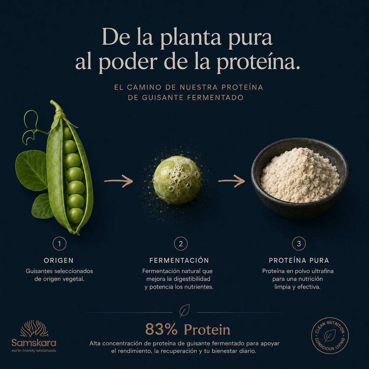 Proteína De Guisante Fermentada Bio - 4kg (1kg Envase Retail + 3kg Bolsa Granel De Recarga) | Proteína Vegetal Ecológica_4