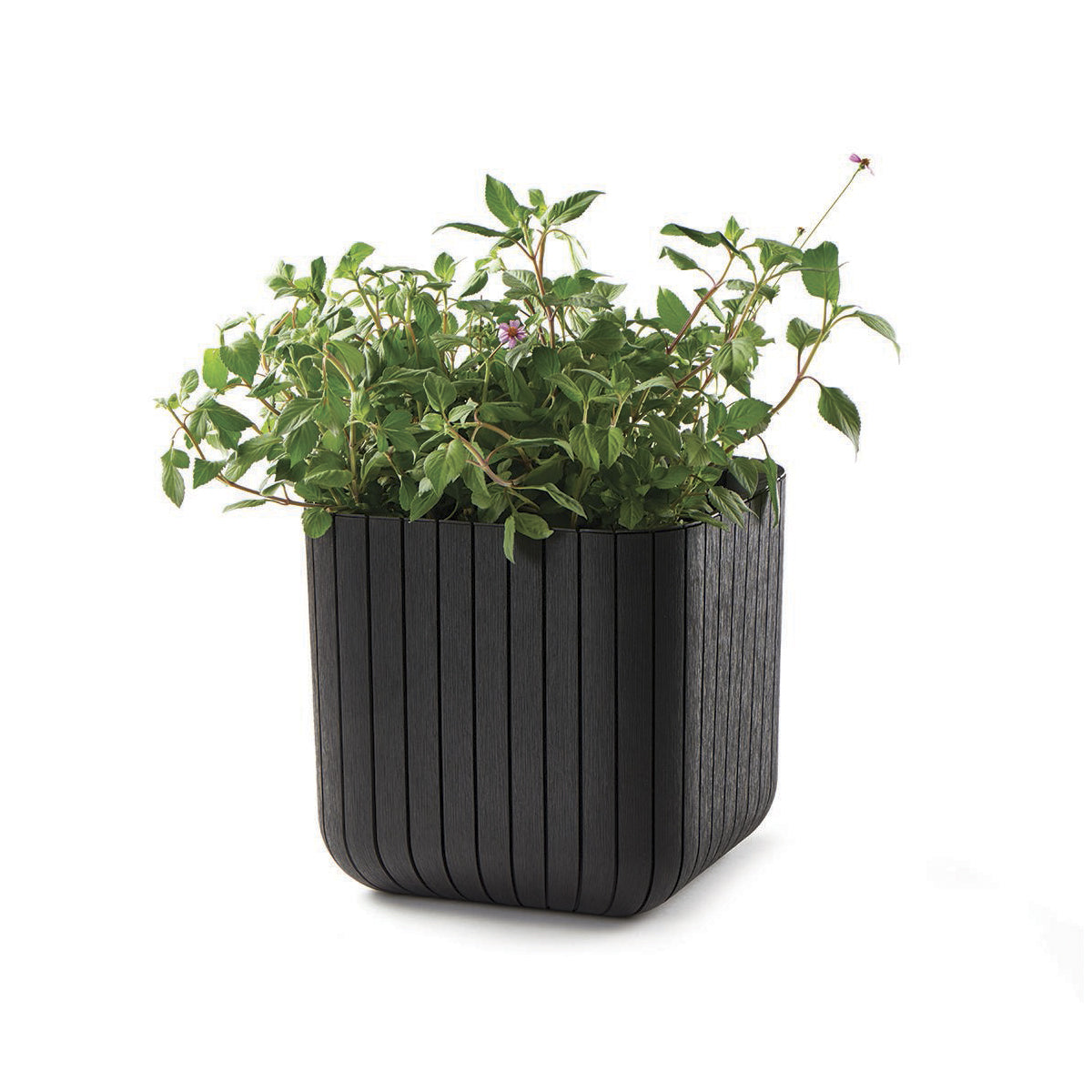 Keter Set 2x Macetero Polyal Wood Planter 29,5x29,5x29,7 Cm 21,5l Marrón_1