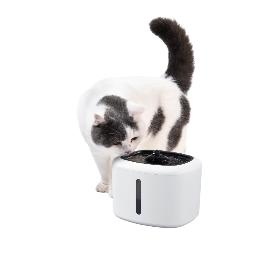 Wuapu Fuente De Agua 2.4 L