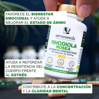 Rhodiola Rosea Bio, Extracto Concentrado | 90 Cápsulas_3