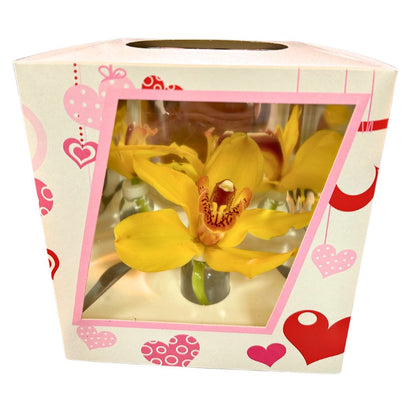 Orquídea Flor En Caja Especial Para Regalo_1