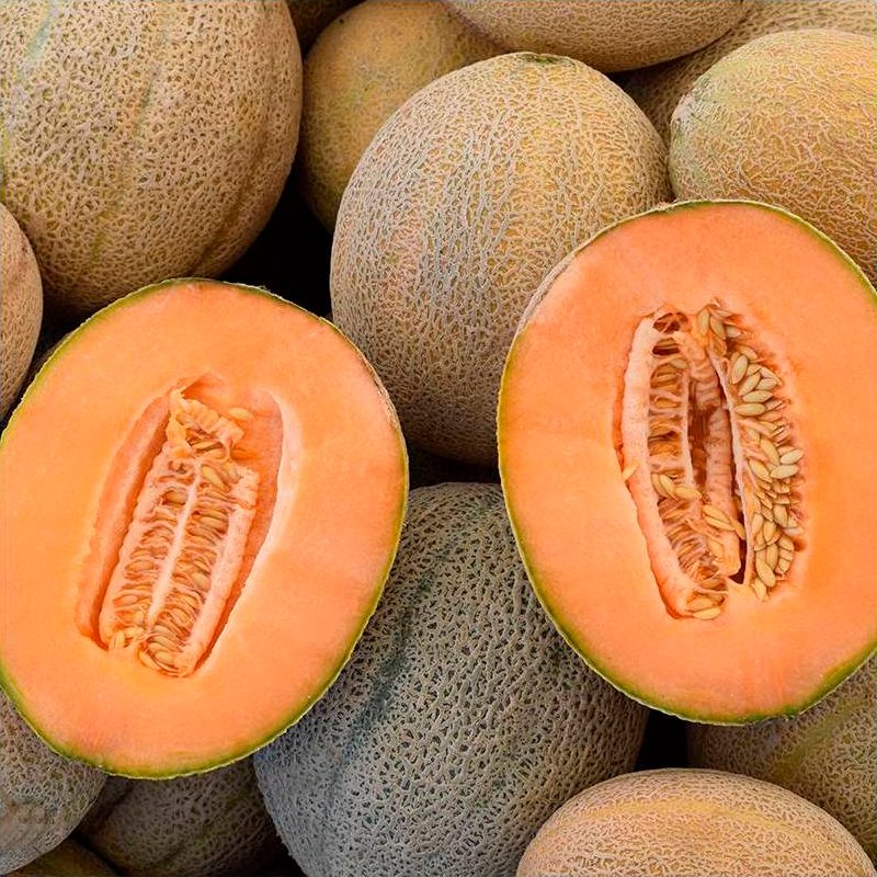 Semillas Melón Retato Degli Ortolani Ecológicas
