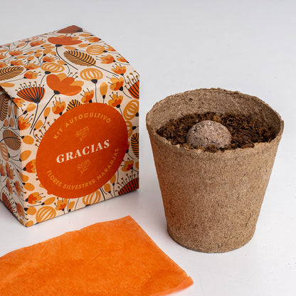 Díselo con Flores "Gracias" Kit Autocultivo Flores Silvestres Naranjas | Regalo Original - Resetea_2