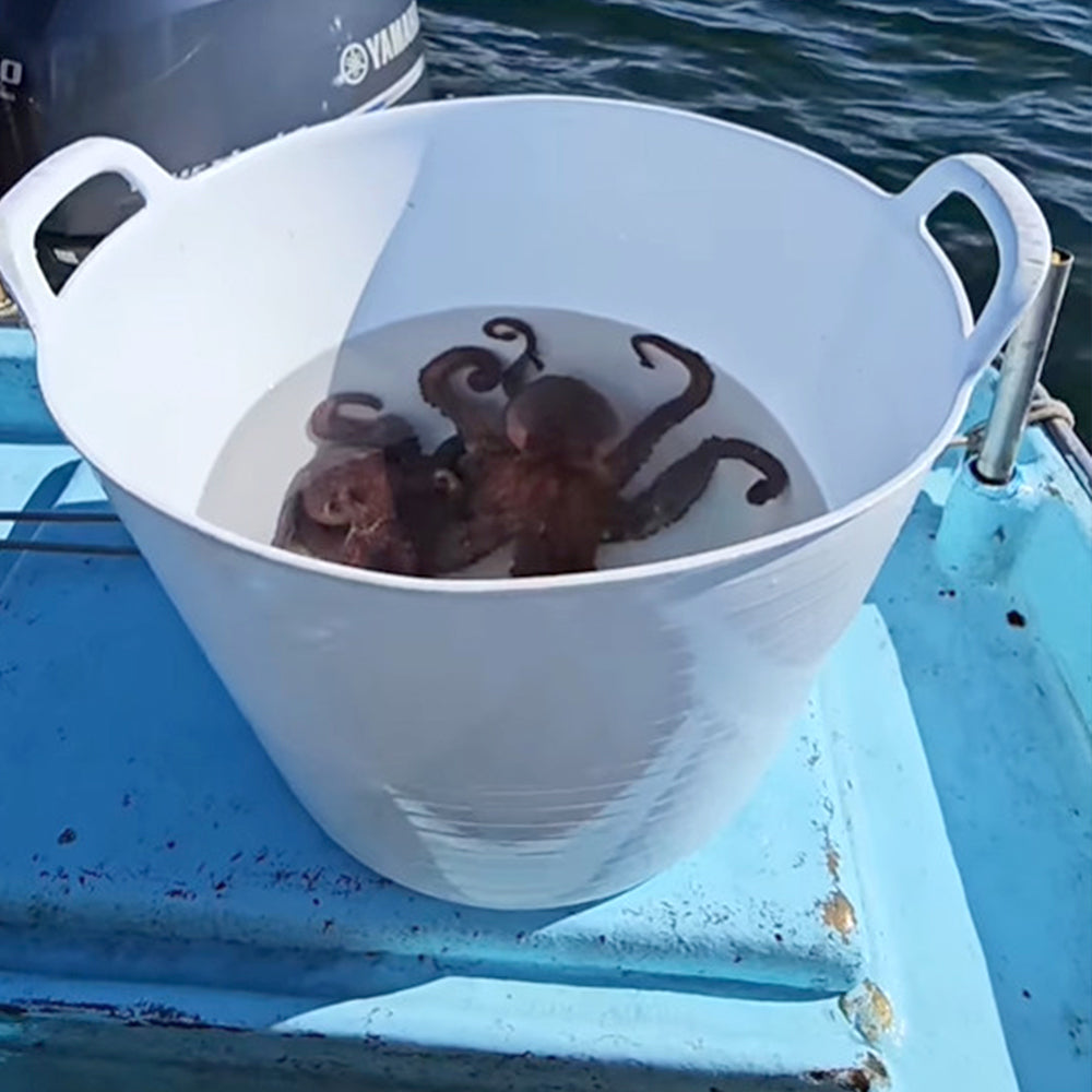 Pack 5 Capazo De Plástico Flexible Para Uso Alimentario. Asa Reforzada (blanco, 42l). Sin Bpas. Restaurantes, Vendimia_1