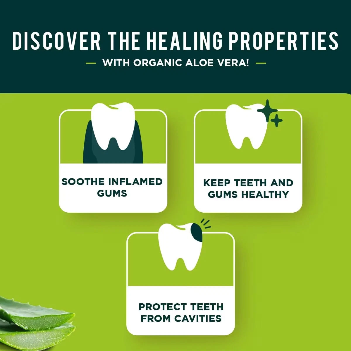 Pasta de dientes ayurvédica con Aloe Vera 100ml