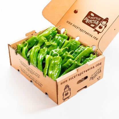 Pimiento Verde directo desde el campo 200g