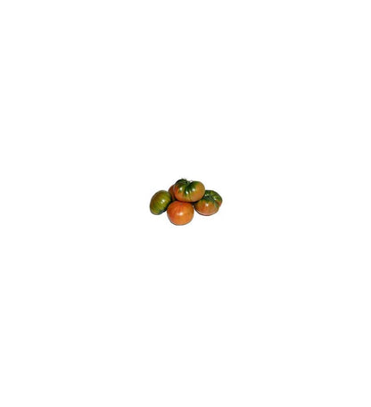 Plantón Tomate Muchamiel (10 Unidades)_1