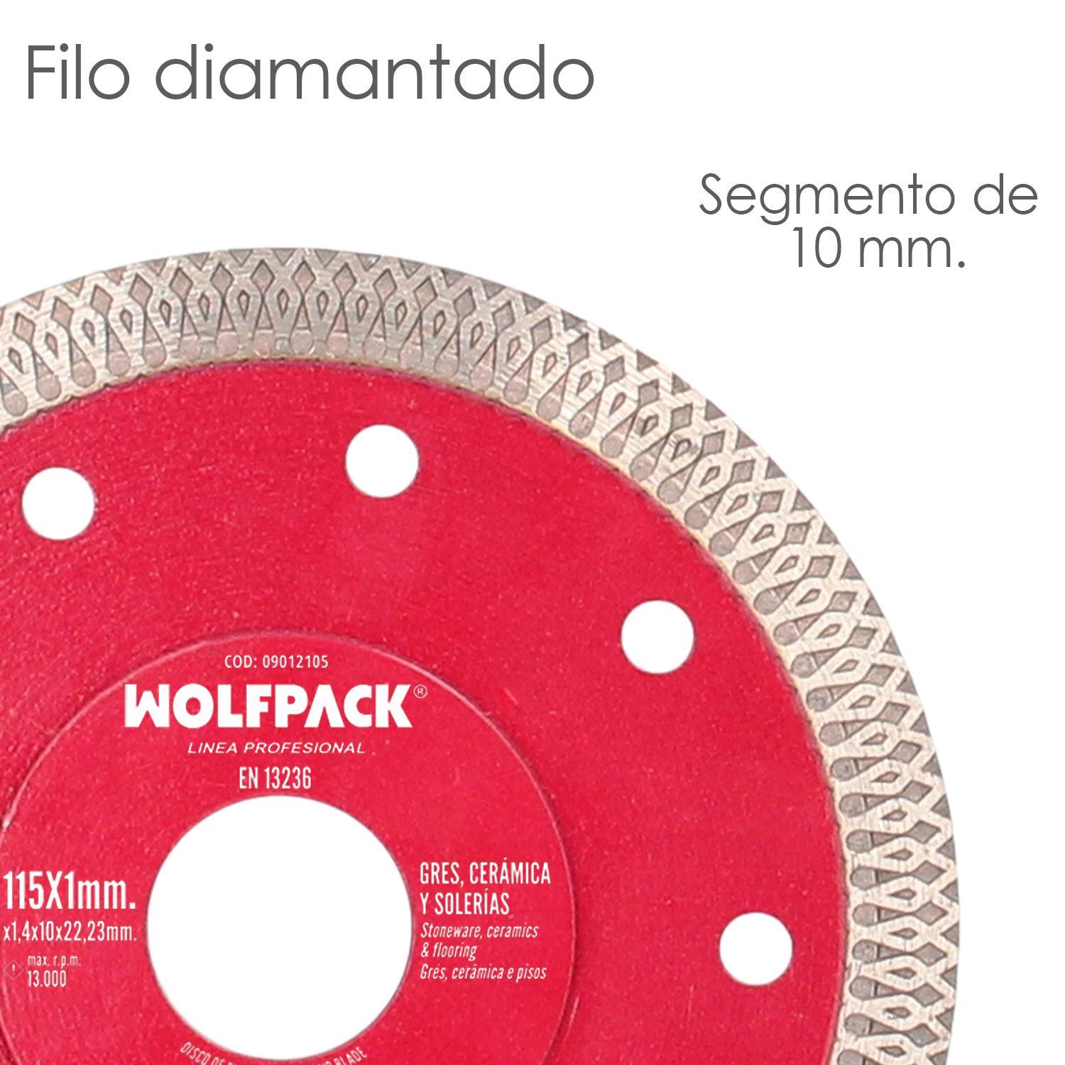 Disco Diamante Ø 115 Mm. Porcelanicos, Gres, Ceramica, Solerias. Segmento Diamantado 10 Mm._2