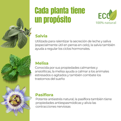 Equilibrio hormonal ECO para perras y gatas – Calma durante el celo – 100 g_2