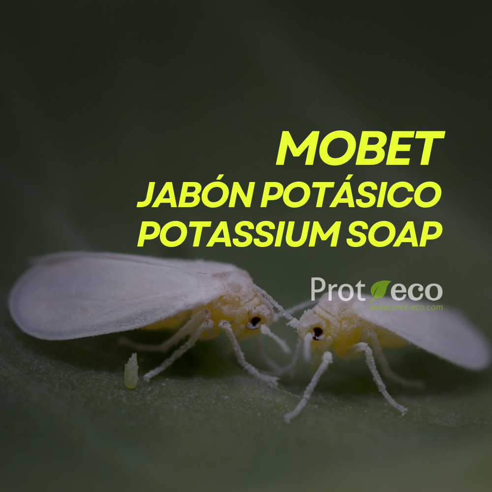 Jabón potásico ecológico para pulgón y cochinilla en plantas Mobet Prot-eco 250 ml + pipeta dosificadora 5 ml gratis_2