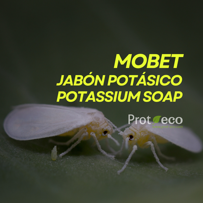 Jabón potásico ecológico para pulgón y cochinilla en plantas Mobet Prot-eco 250 ml + pipeta dosificadora 5 ml gratis_2