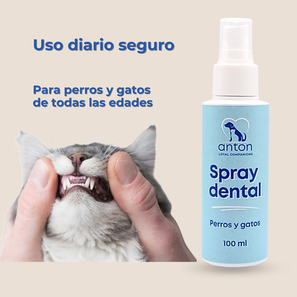 Spray dental natural para la higiene bucal diaria de perros y gatos – 100 ml_4