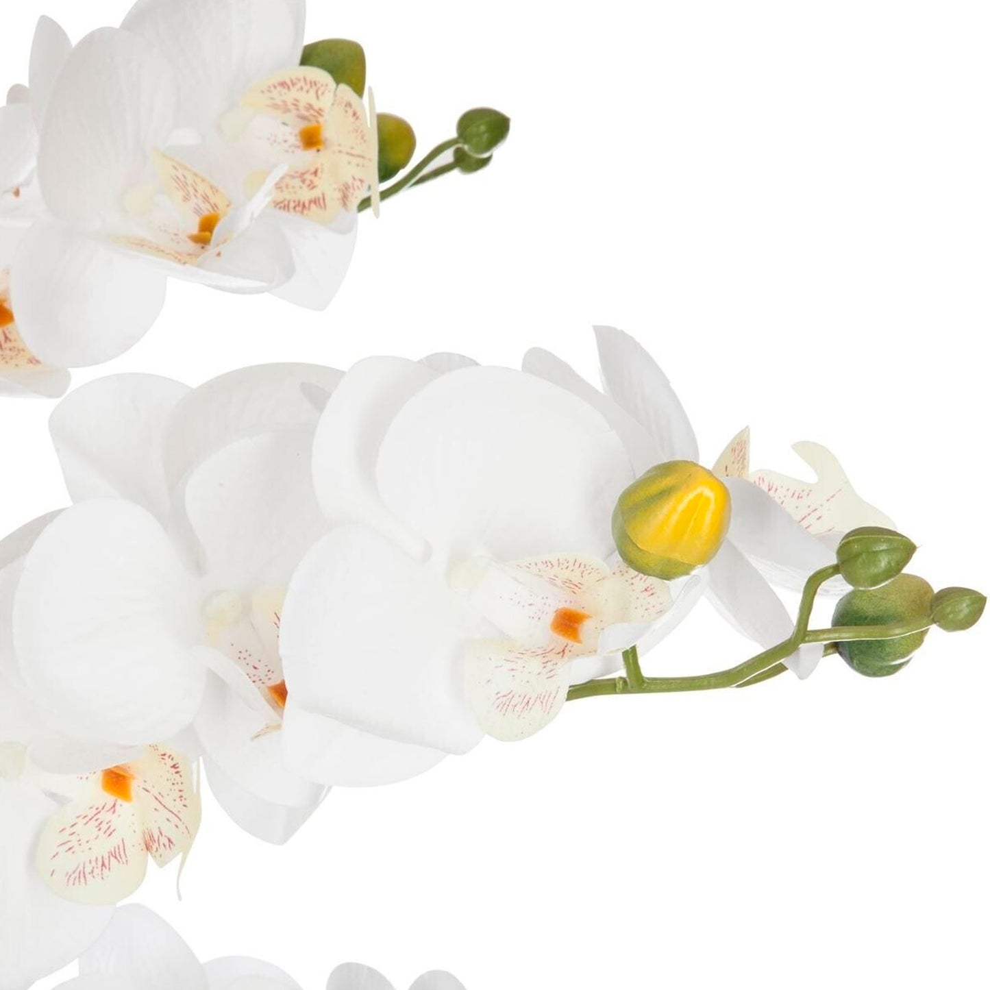 Orquídea Olla Cerámica Negro H65_1