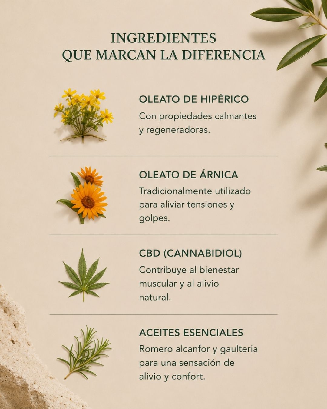 Bálsamo de masaje para molestias musculares y articulares con 10% CBD, Árnica e Hipérico | ALIVIO 30 ml_3