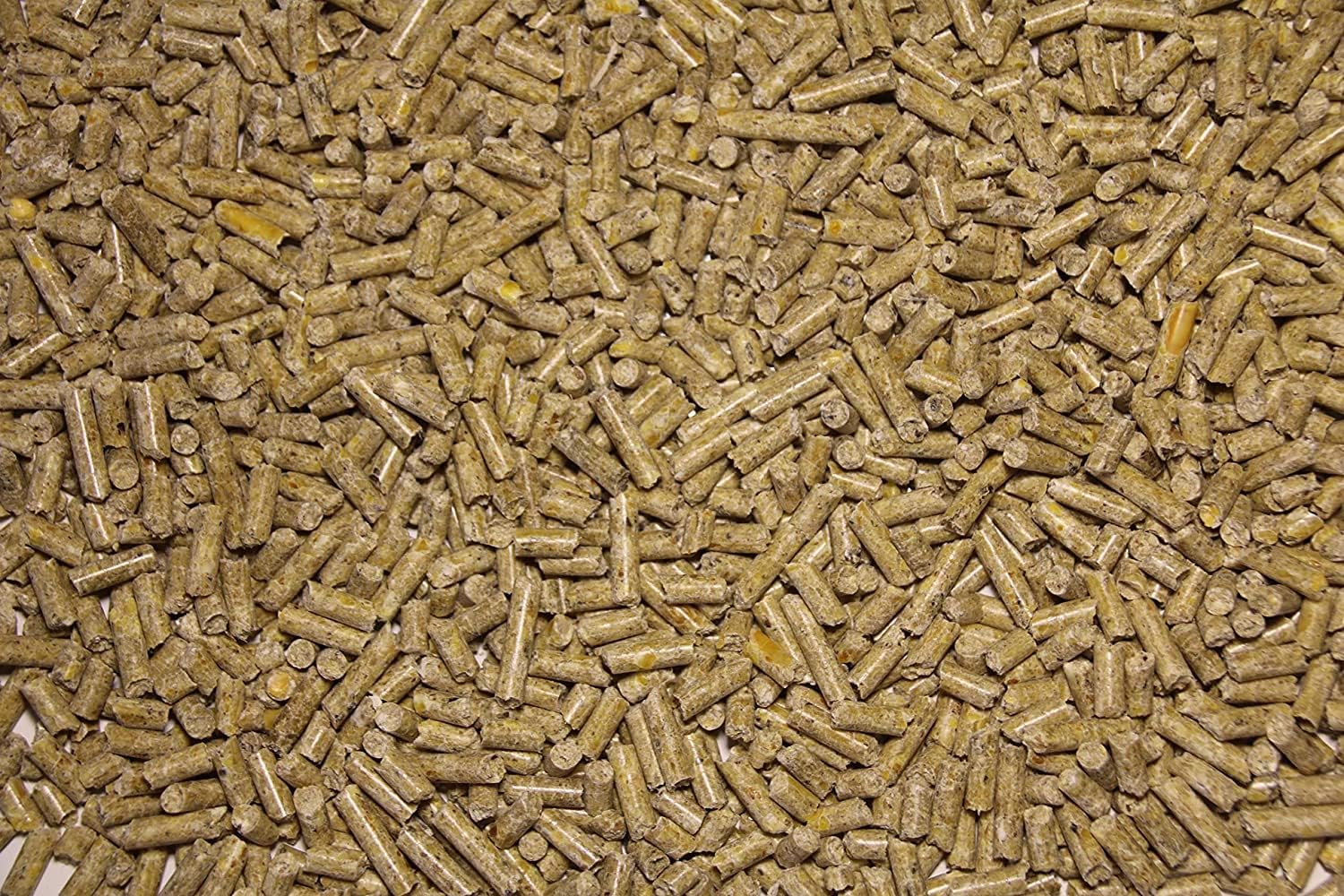 Pienso ECOLÓGICO para Cerdas Lactantes 20 kg – Comida Nutritiva y Natural para Producción de Leche Óptima Energía_1