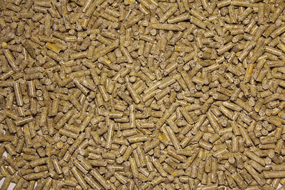 Pienso ECOLÓGICO para Cerdas Lactantes 20 kg – Comida Nutritiva y Natural para Producción de Leche Óptima Energía_1