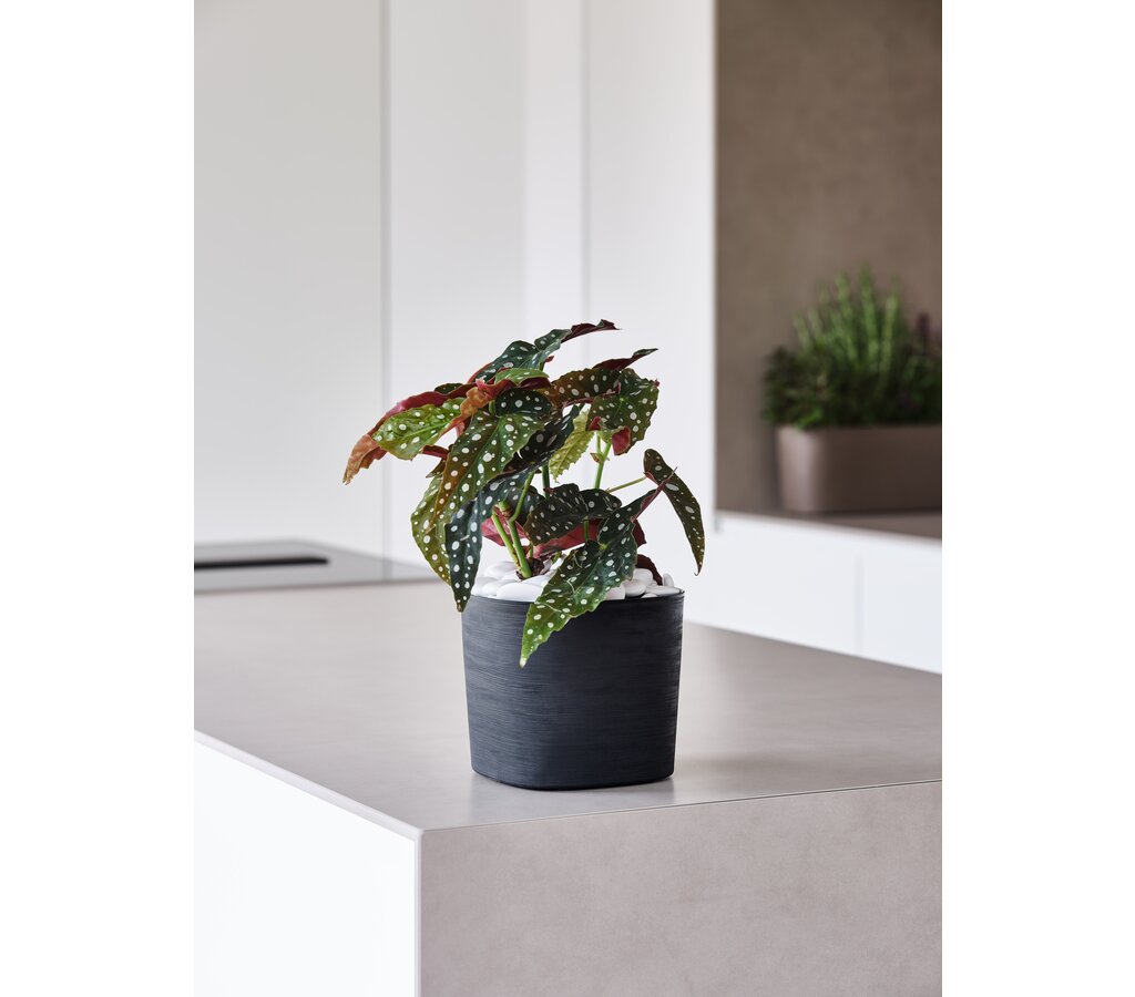 Teraplast Macetero De Plástico Reciclado Cuadrado Capri Negro 19cm_1