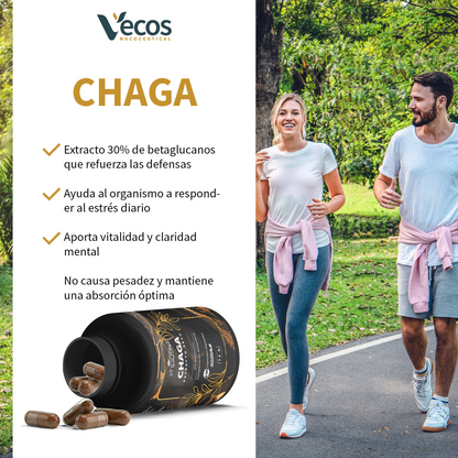 Chaga Zhongyi Vecos 100 Cápsulas | Antioxidante Y Defensa Celular | 500 Mg Con 30% Betaglucanos_3