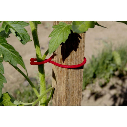 Atadura para tomateras Tomatoclip Nortene 25 ud
