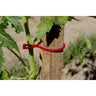 Atadura para tomateras Tomatoclip Nortene 25 ud