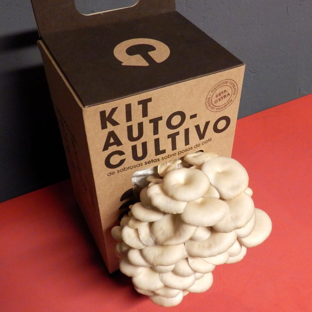 Kit Cultivo De Setas Ostra | Ingrediente Gourmet | Cultivo Fácil | Regalo Original | Resetea_1