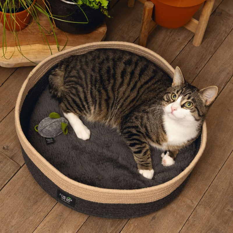 Beeztees Cama Para Gatos Minus One Xana 45x14 Cm Gris Y Marrón_3