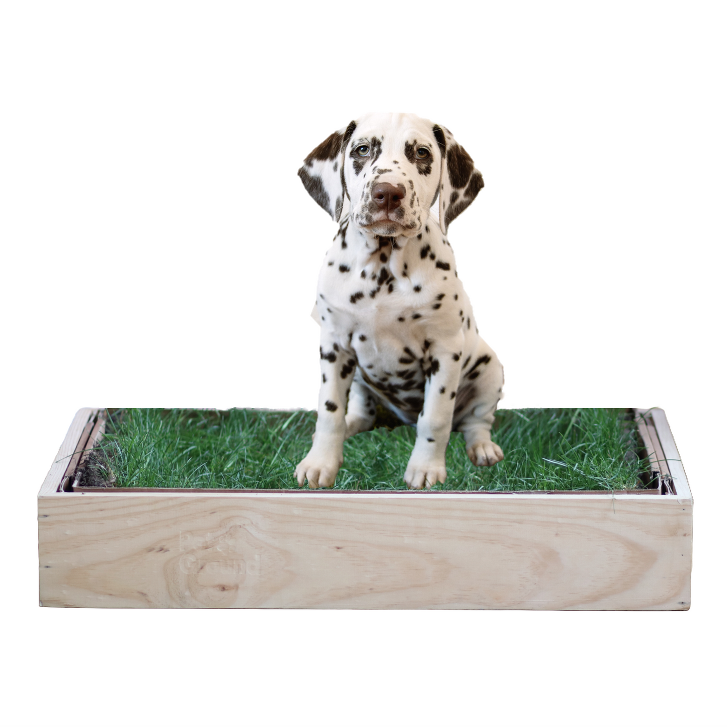 Petground, Cama Para Perros, Caja De Madera, Accesorio, Mueble, Standard_0