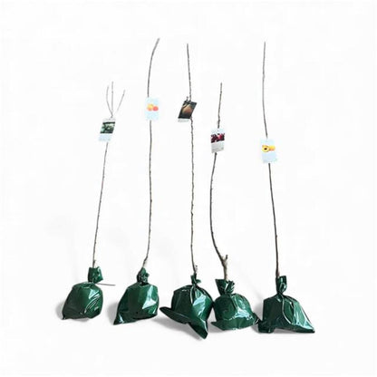 Avellano Negreta De Tarragona Cepellon_0