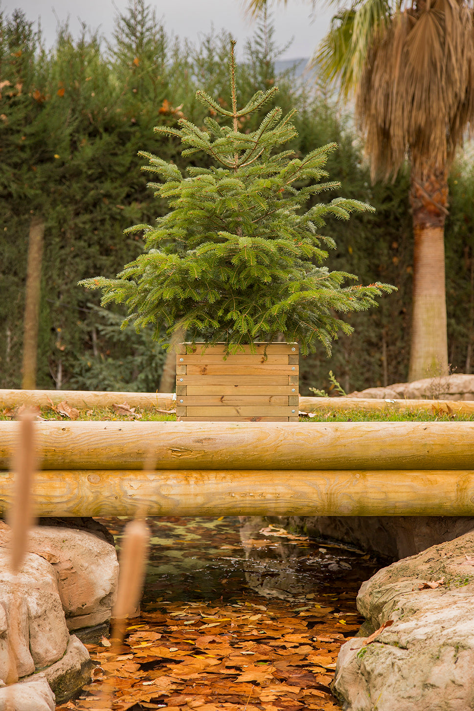 Jardinera Cuadrada  De Madera Tratada Autoclave De 50 X 50 X 40 Cm 67l Para Jardin,terraza,exterior + Bolsa Geotextil