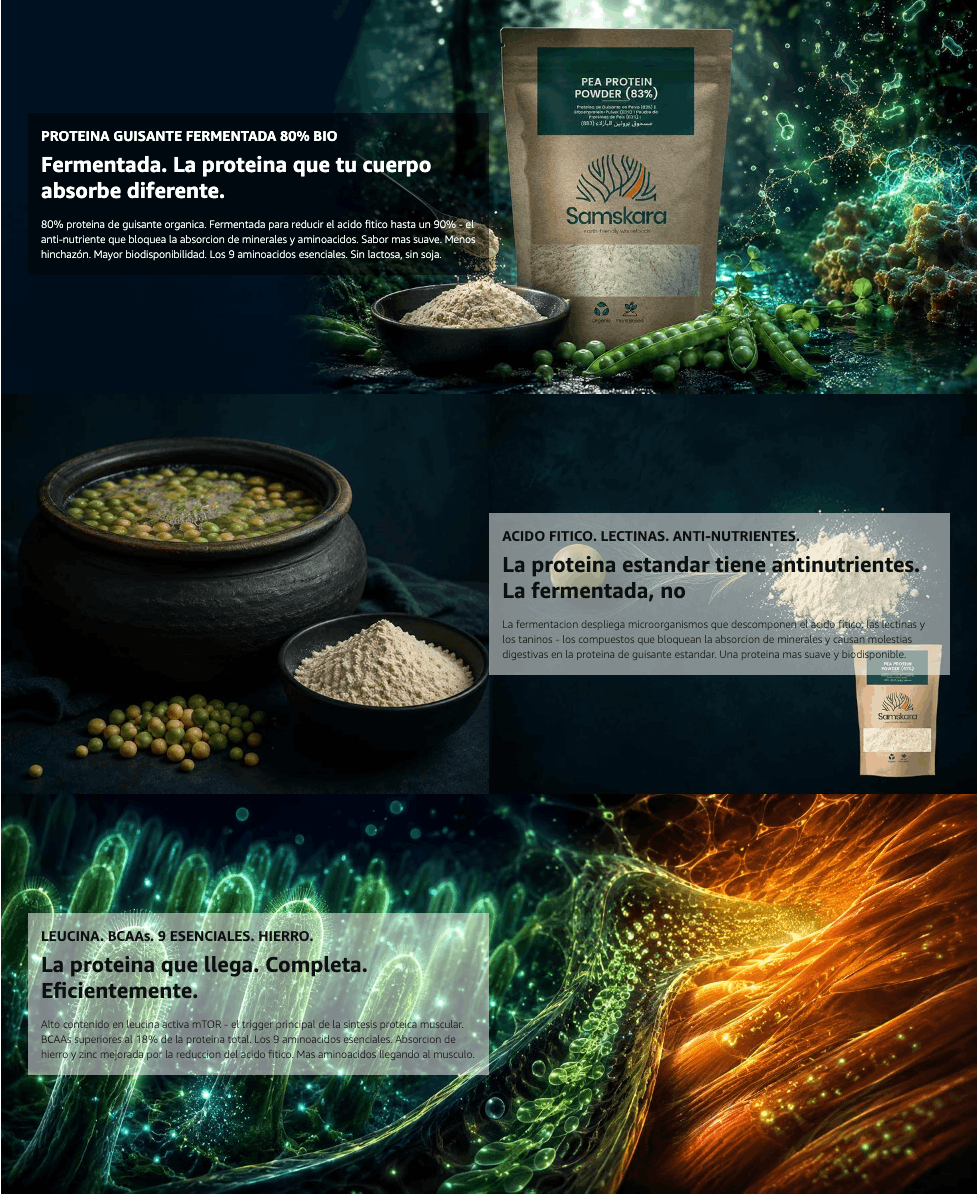 Proteína De Guisante Fermentada Bio - 1.5kg | Proteína Vegetal Ecológica Vegana Para Batidos Y Repostería_3