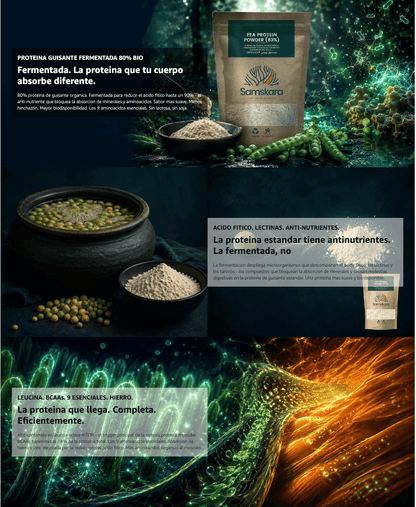 Proteína De Guisante Fermentada Bio - 1.5kg | Proteína Vegetal Ecológica Vegana Para Batidos Y Repostería_3