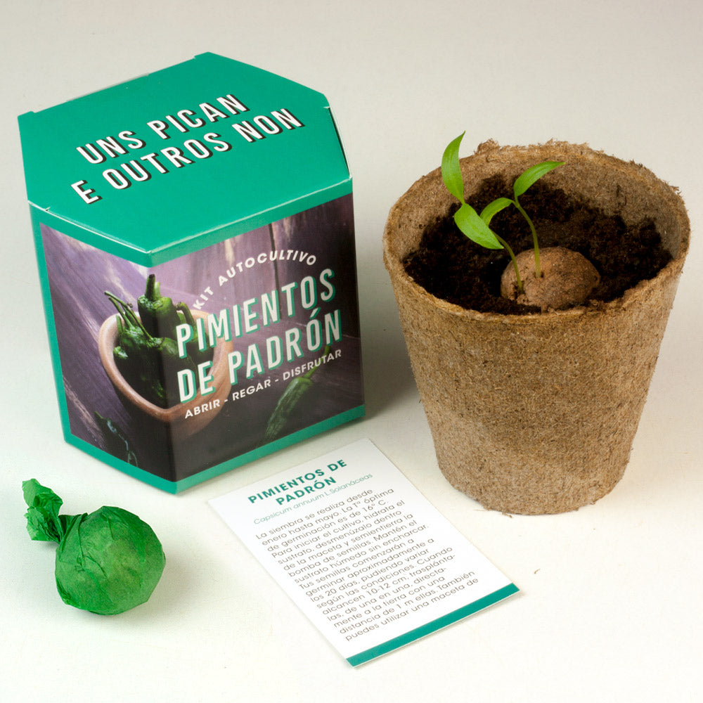 Kit Autocultivo Pimientos De Padrón | Cultiva En Casa Uno De Los Sabores Más Auténticos_2