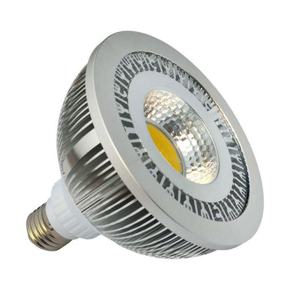 Lámpara Led Par38 - E27 Cob - 15w, Blanco Frío_0
