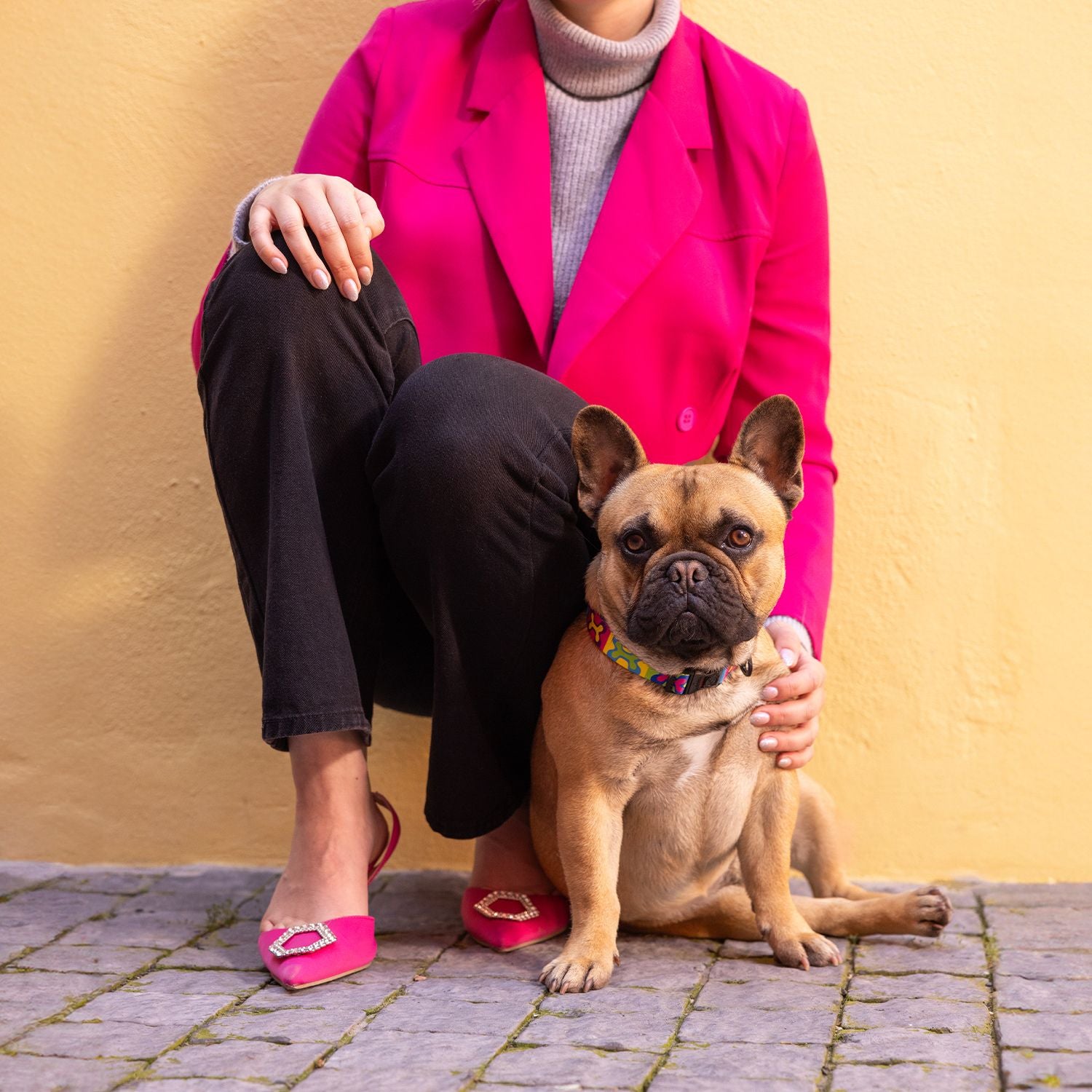 Arnés Para Perro, Modelo Fusion De Rogz, Estampado Pop Art. Talla L (21-40kg)_4