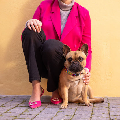 Arnés Para Perro, Modelo Fusion De Rogz, Estampado Pop Art. Talla L (21-40kg)_4