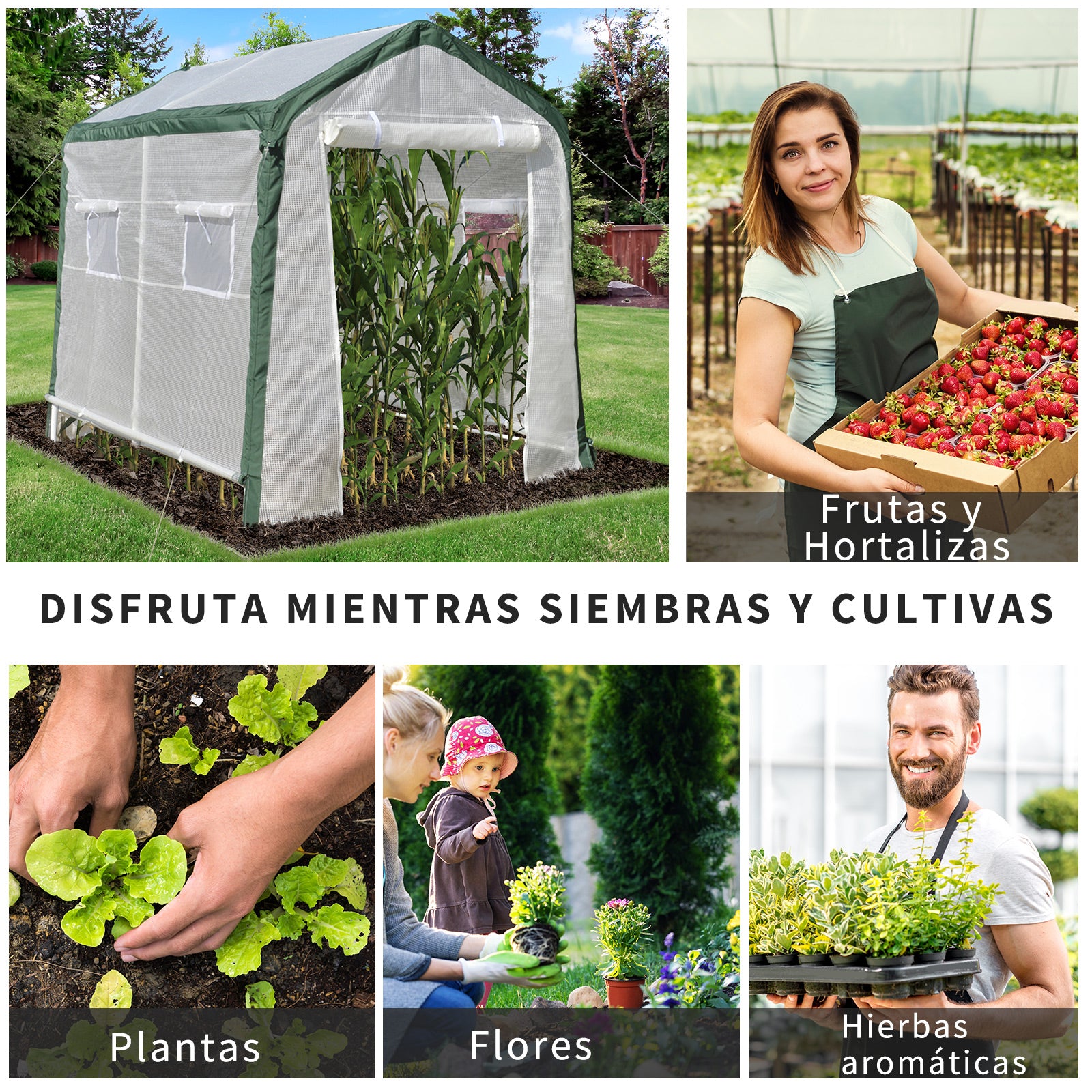 Outsunny Invernadero De Jardín 240x180x200cm 4 Ventanas Y Puerta Para Cultivo De_5
