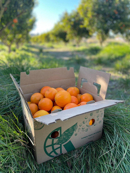 Naranja Premium Sanguina 10 Kg_2