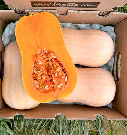 Caja De Calabaza Cacahuete De Temporada Tropitop 4kg