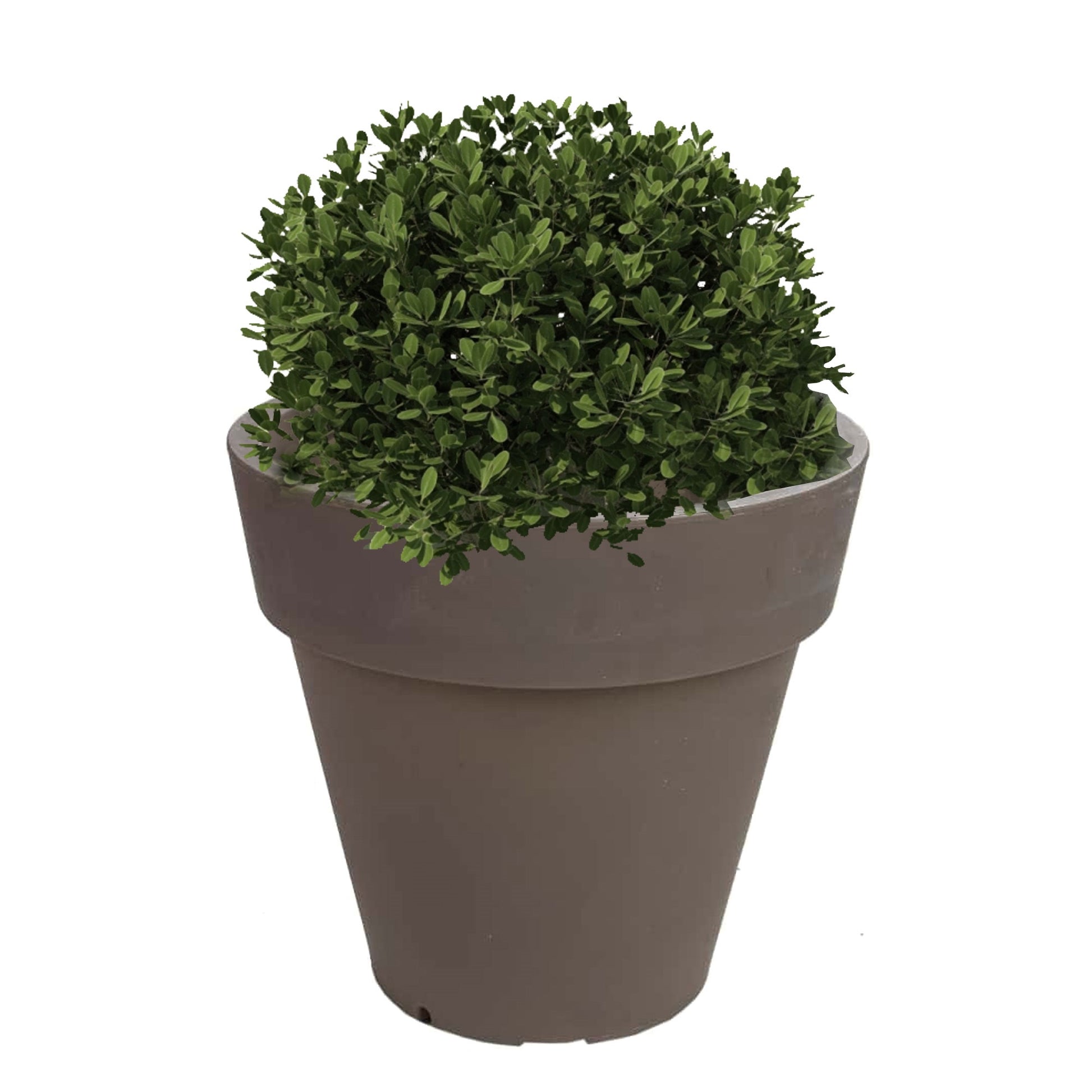 Macetero De Polietileno Por Rotomoldeo Color Topo 35x30 Cm_2