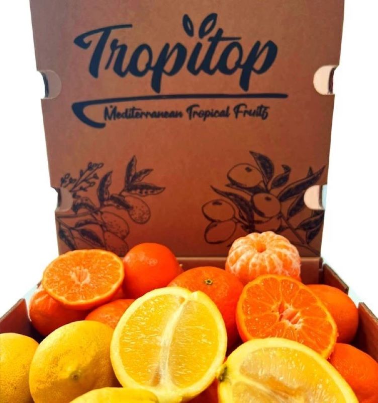 Mix Mandarinas Clementinas Y Limones Verna Valencianos Tropitop 4kg_2