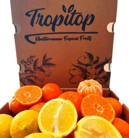 Mix Mandarinas Clementinas Y Limones Verna Valencianos Tropitop 4kg_2