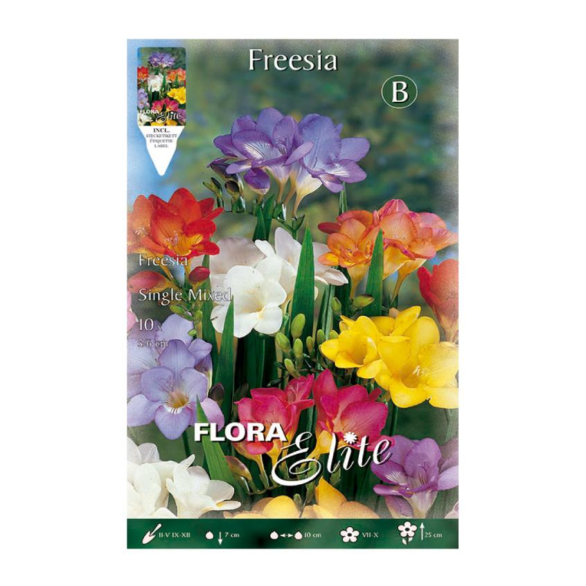Bulbos Freesia doble mezcla 10 uds