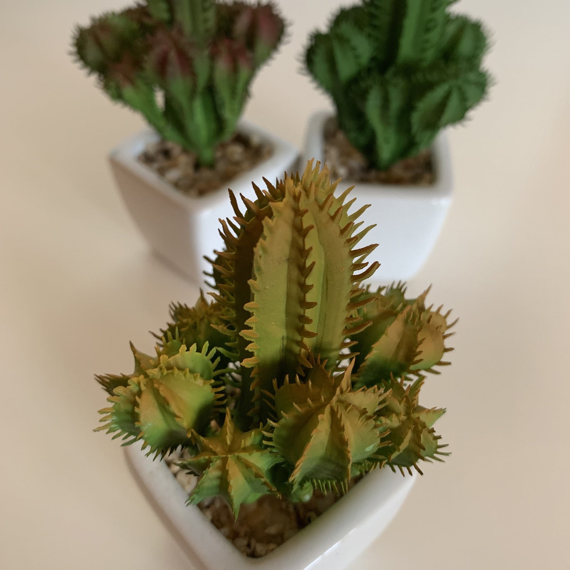 Pack 12 Cactus Cardon Surtidos Artificiales Con Maceta De Ceramica_3