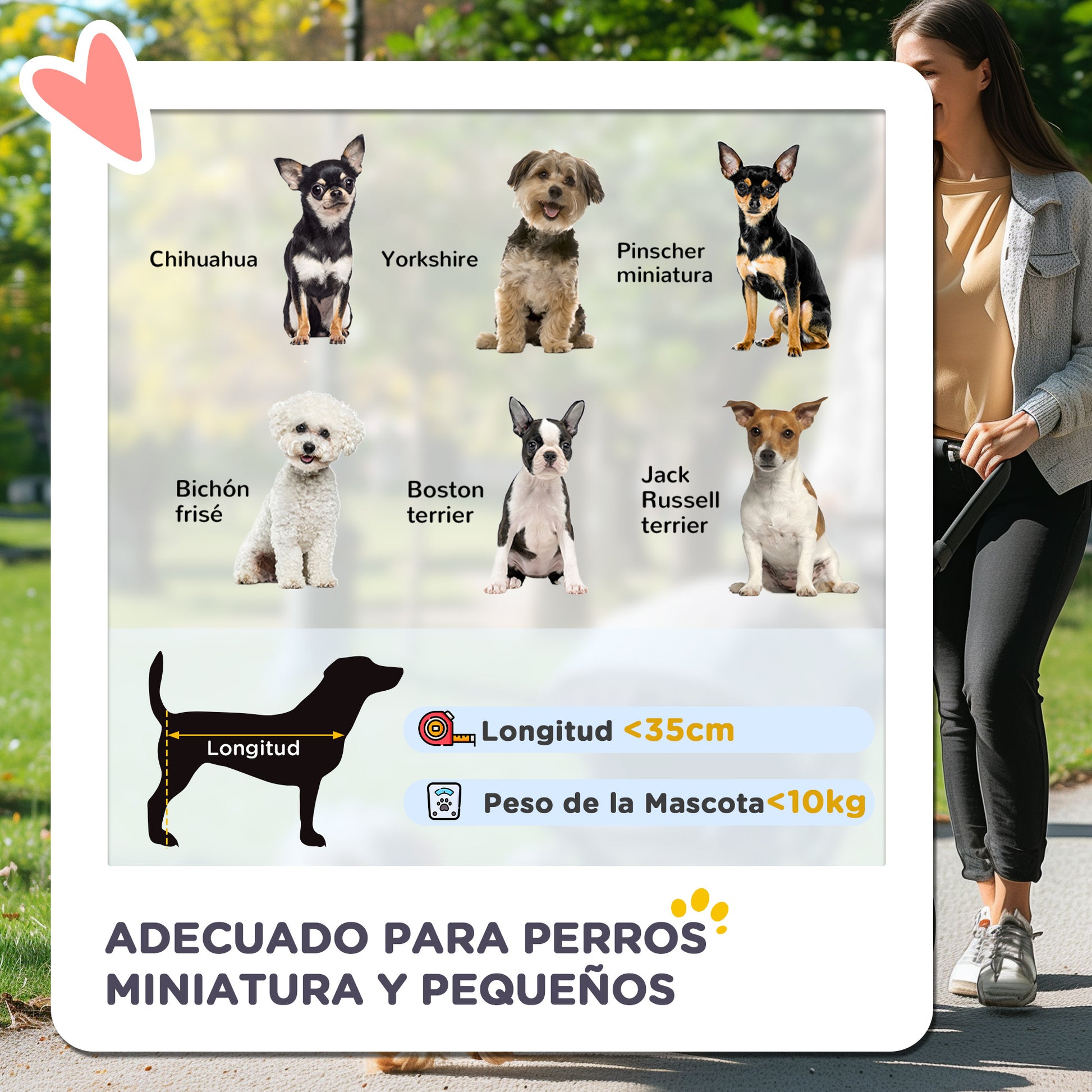 Pawhut Carrito Para Perros Plegable Con Cesta De Almacenaje 75x45x97 Cm Azul_3